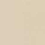 Beige Arena