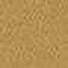 Beige Claro