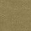Beige Arena