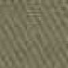 Beige Caqui