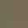 Beige Camello