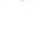 Blanco roto Blanco roto