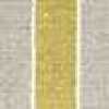Gris × Amarillo Gris × Amarillo