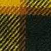 Amarillo X Beige