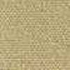Beige Arena