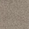 Beige Grisáceo