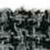 Gris X Negro