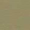 Beige Claro