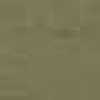 Beige Beige