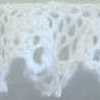 Blanco roto