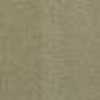 Beige Beige