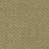 Beige Beige