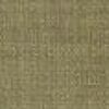 Beige Beige