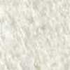 Blanco/Camello