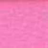 Rosa Rosa