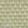 Beige Beige