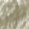 Blanco Roto Blanco Roto