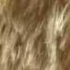 Beige Beige