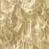 Beige Beige