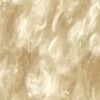 Beige Claro
