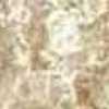 Beige Claro