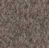 Gris Beige