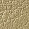 Beige Beige