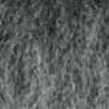 Gris Gris