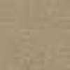 Beige Caqui