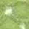 Verde Manzana