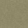 Beige Caqui