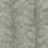 Gris Beige