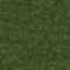 Verde Musgo