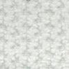 Blanco Roto
