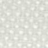 Blanco roto