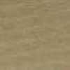 Beige Arena