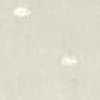 Blanco roto