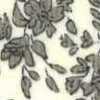 Marfil × Beige