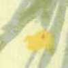 Crema