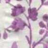 Morado Morado