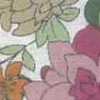 Blanco Roto × Rosa