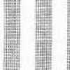 Rayas/monocromo
