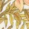 Blanco Roto X Amarillo
