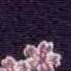 Morado Morado