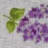 Púrpura Empolvado × Flor