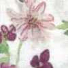 Blanco Roto × Rosa