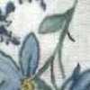 Blanco Roto × Azul