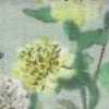Menta