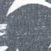 Negro Negro