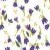 Blanco Roto X Morado